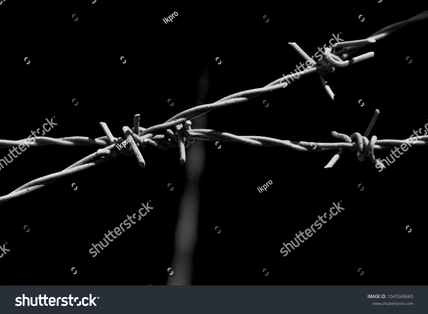 46 donne morte bruciate in un carcere in rivolta